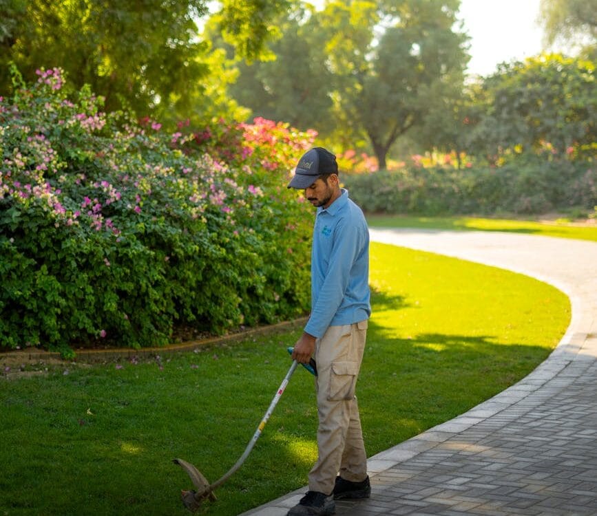 gardener maintaining park in dubai sunshine