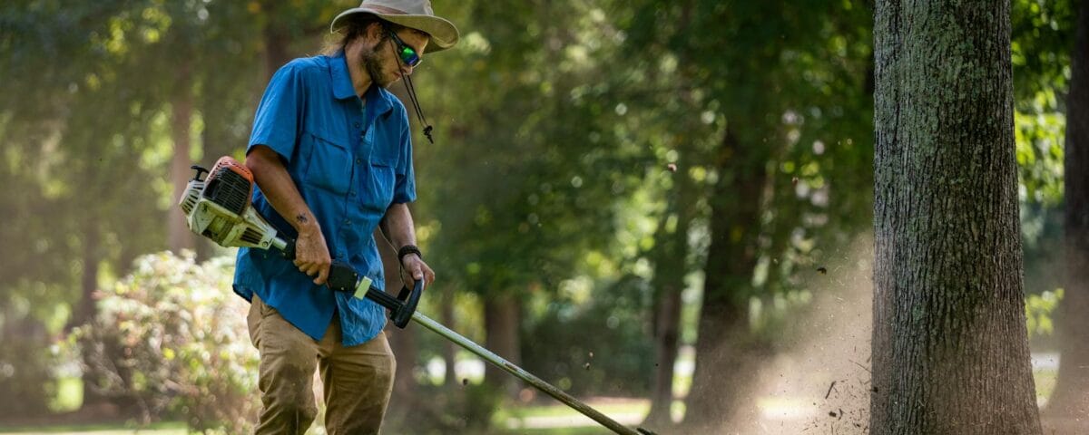 gardener trims grass around tree outdoors