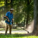gardener trims grass around tree outdoors