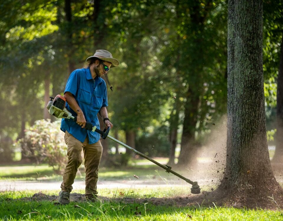 gardener trims grass around tree outdoors