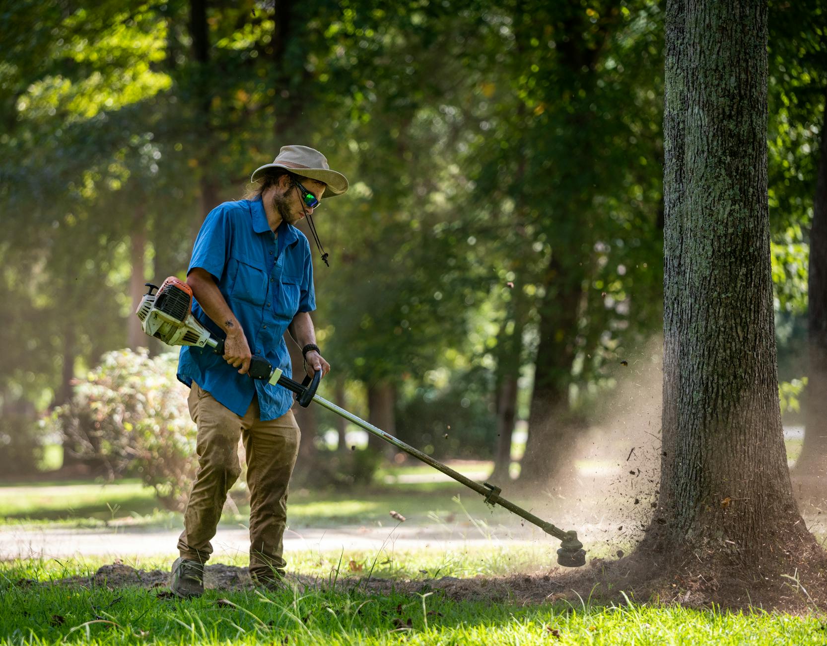 gardener trims grass around tree outdoors